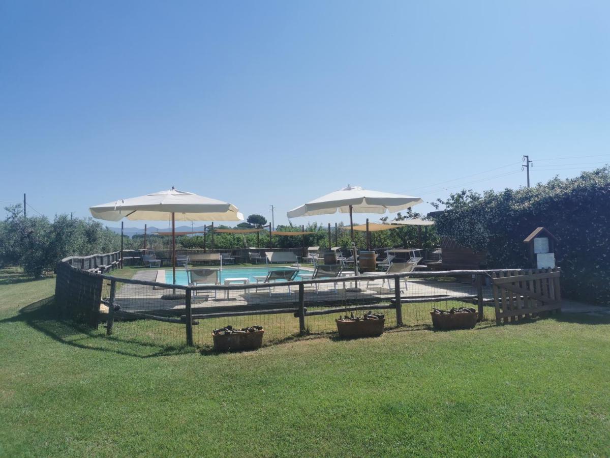 Podere Serena Castagneto Carducci Dış mekan fotoğraf
