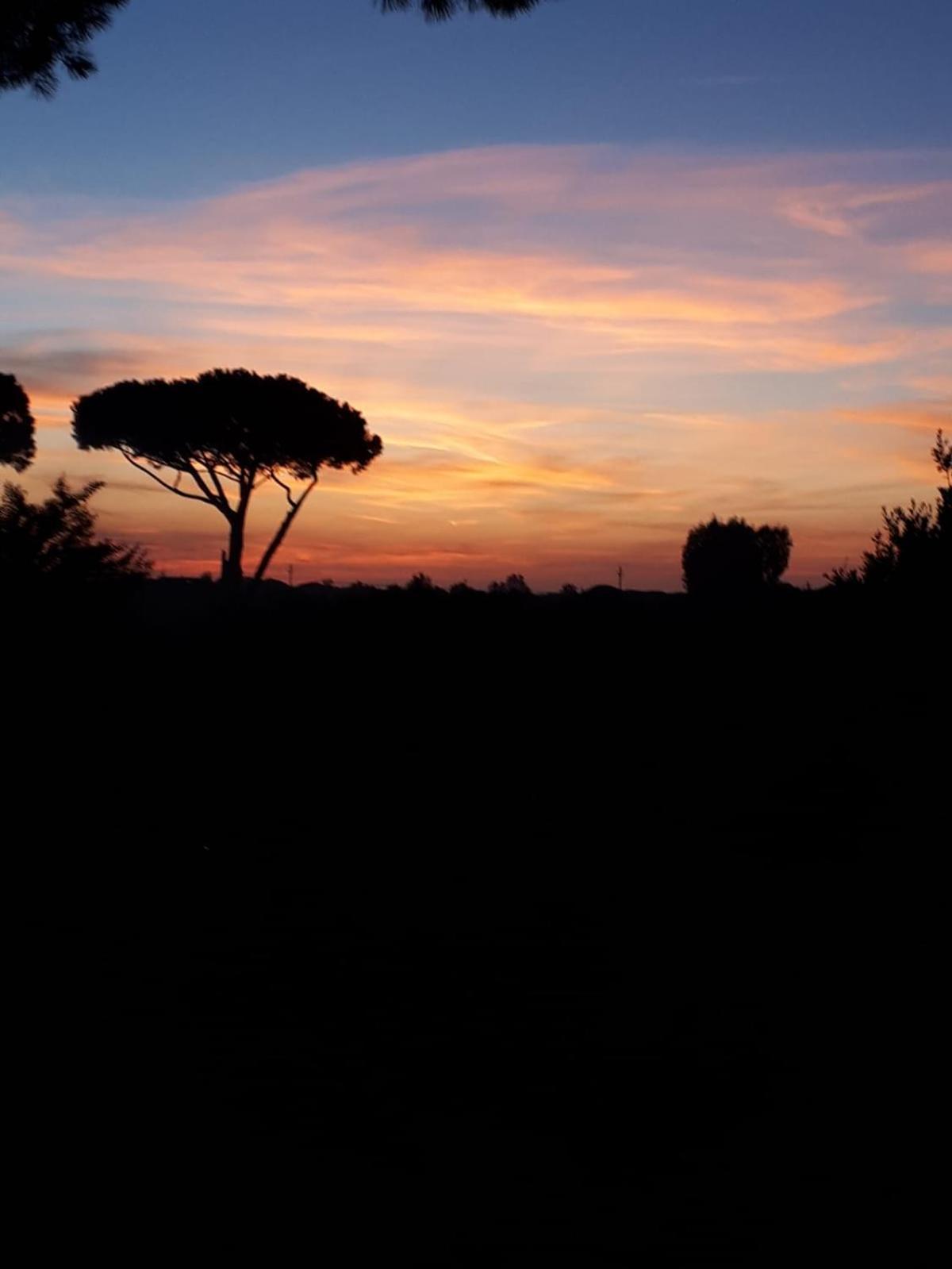 Podere Serena Castagneto Carducci Dış mekan fotoğraf