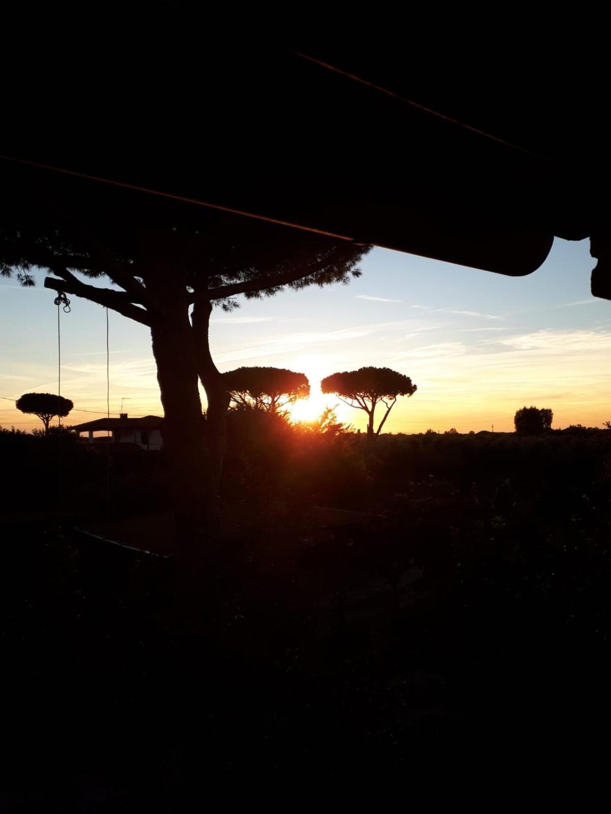 Podere Serena Castagneto Carducci Dış mekan fotoğraf
