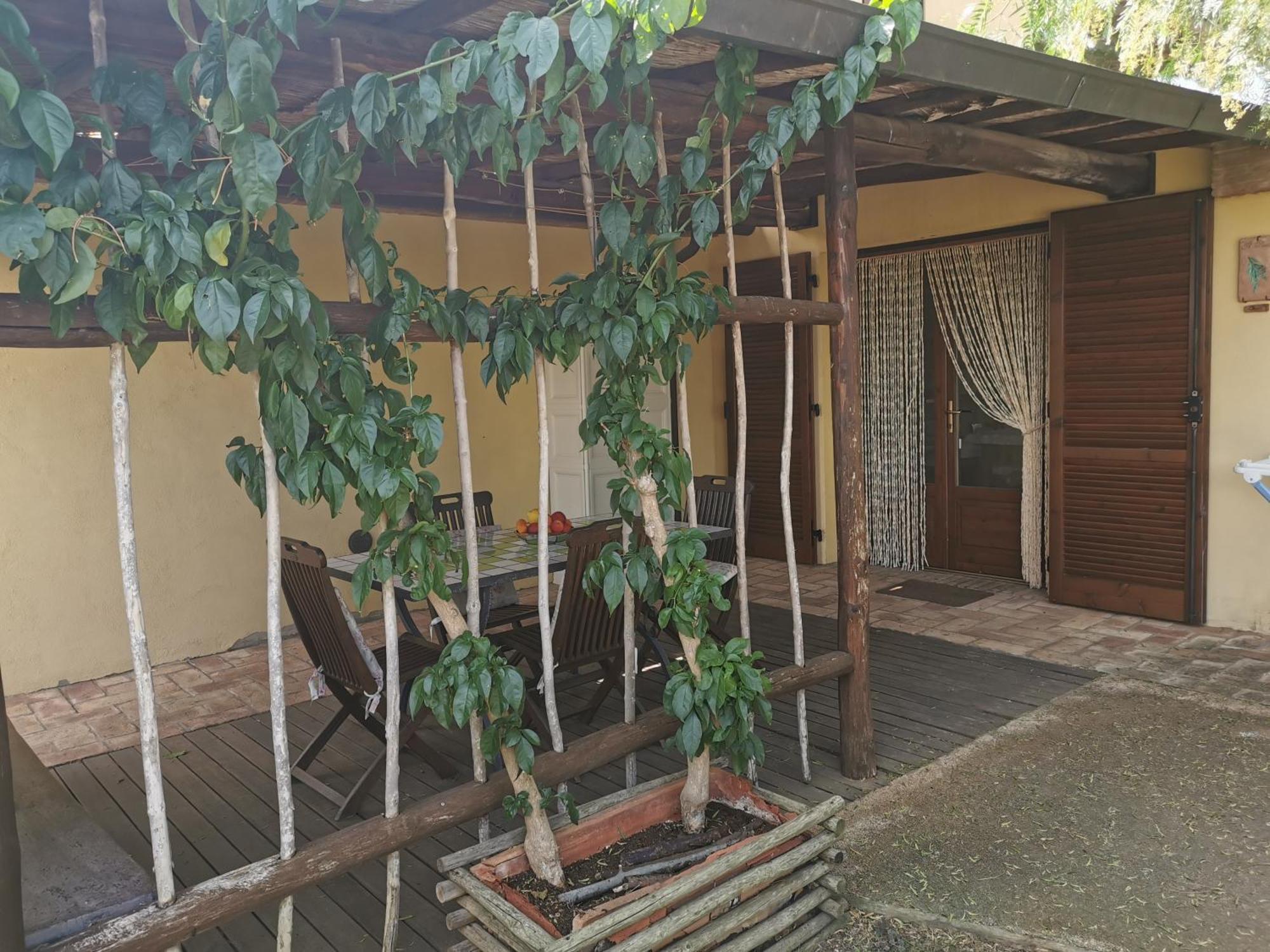 Podere Serena Castagneto Carducci Dış mekan fotoğraf