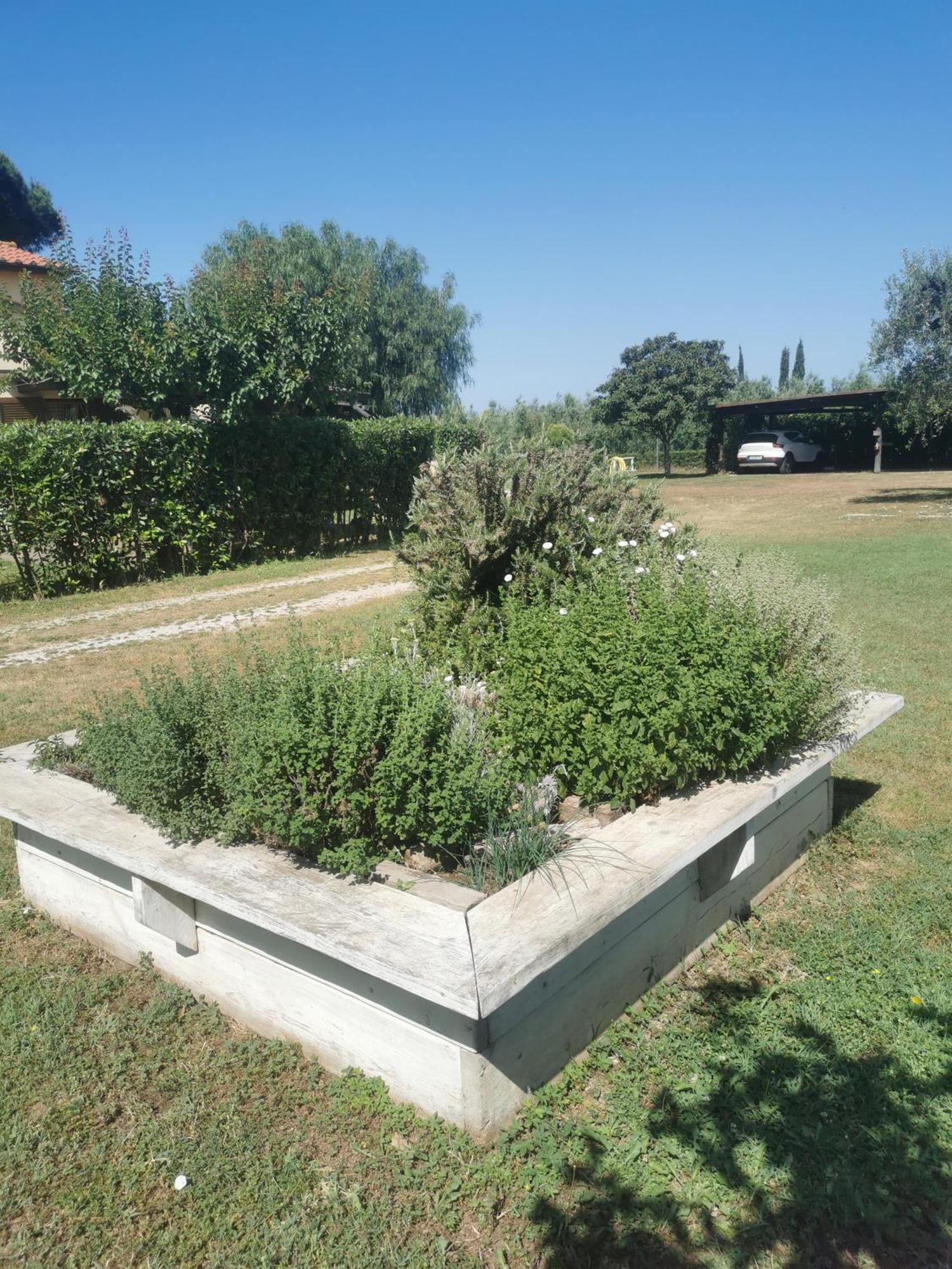 Podere Serena Castagneto Carducci Dış mekan fotoğraf