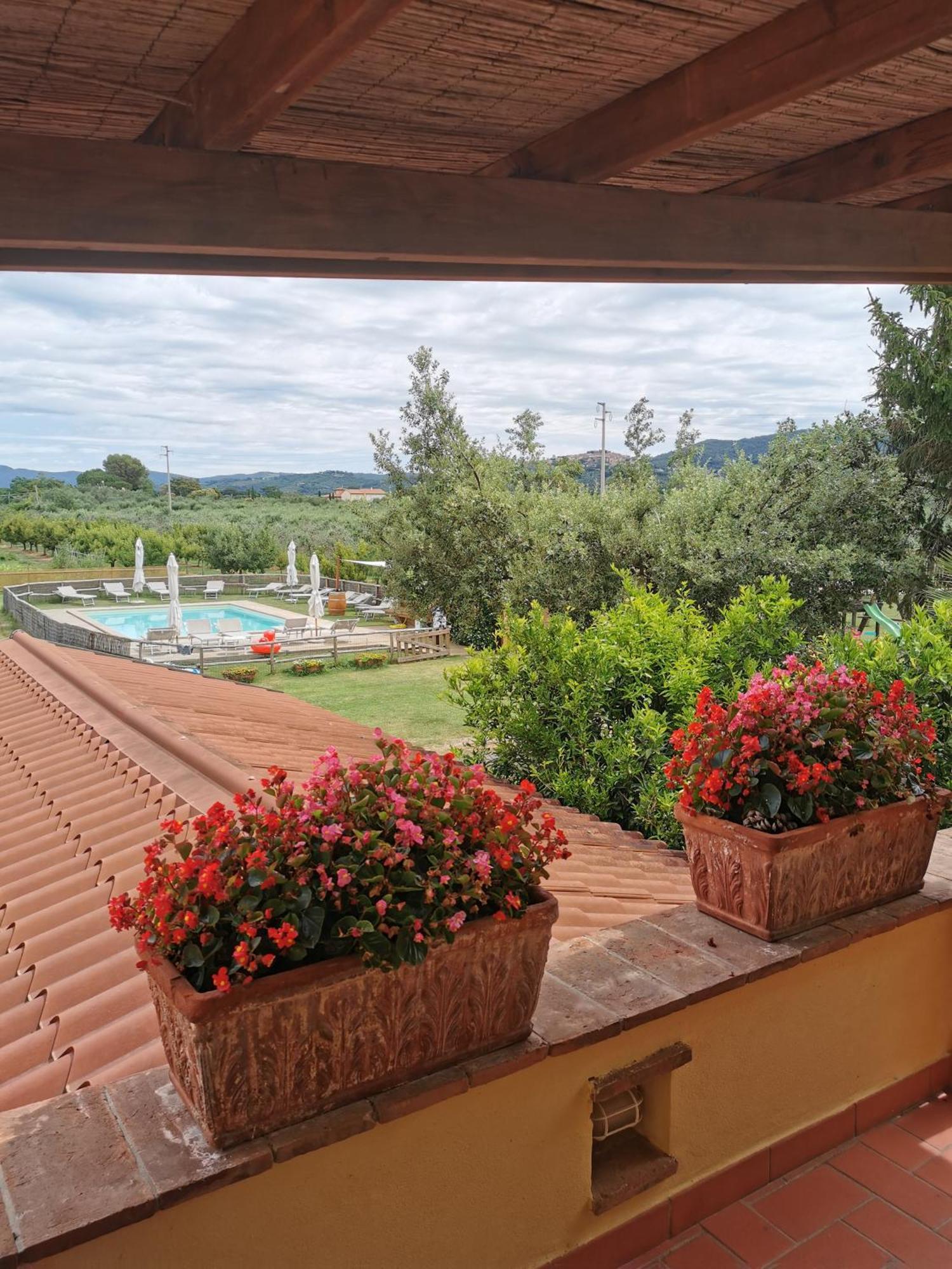 Podere Serena Castagneto Carducci Dış mekan fotoğraf