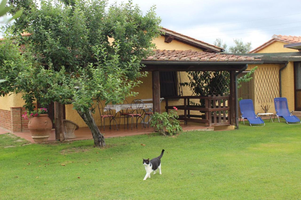 Podere Serena Castagneto Carducci Dış mekan fotoğraf
