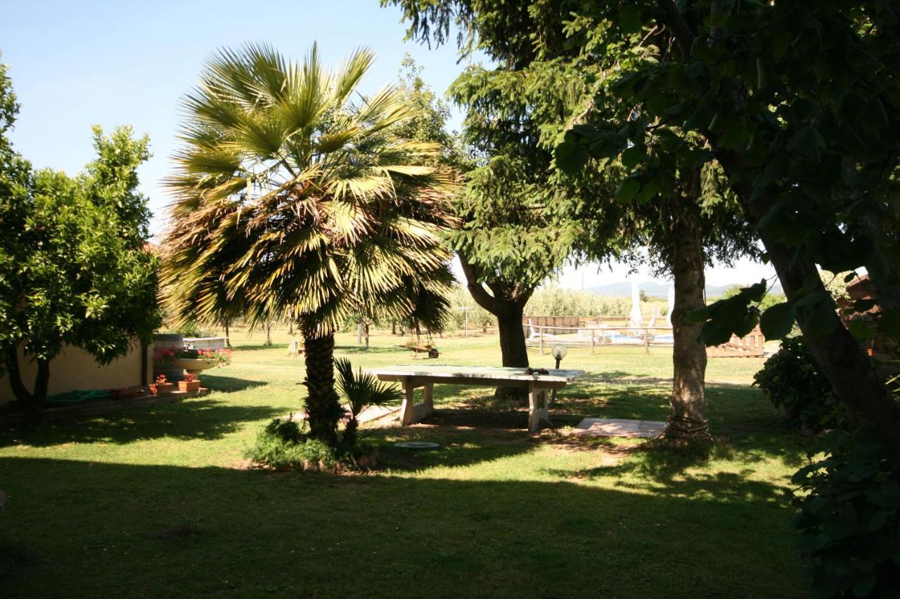 Podere Serena Castagneto Carducci Dış mekan fotoğraf