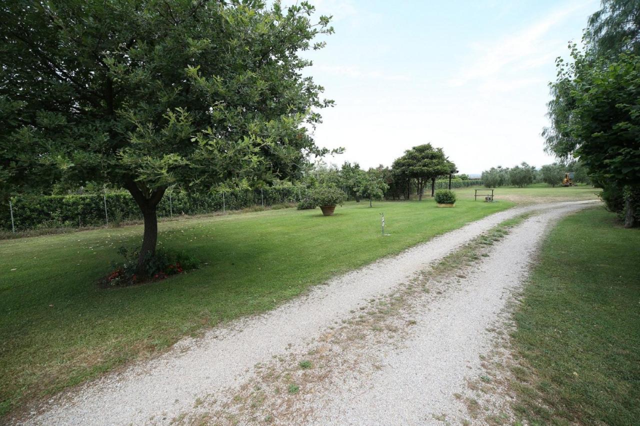 Podere Serena Castagneto Carducci Dış mekan fotoğraf