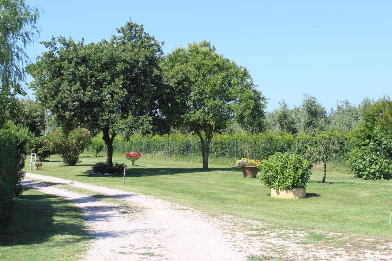 Podere Serena Castagneto Carducci Dış mekan fotoğraf