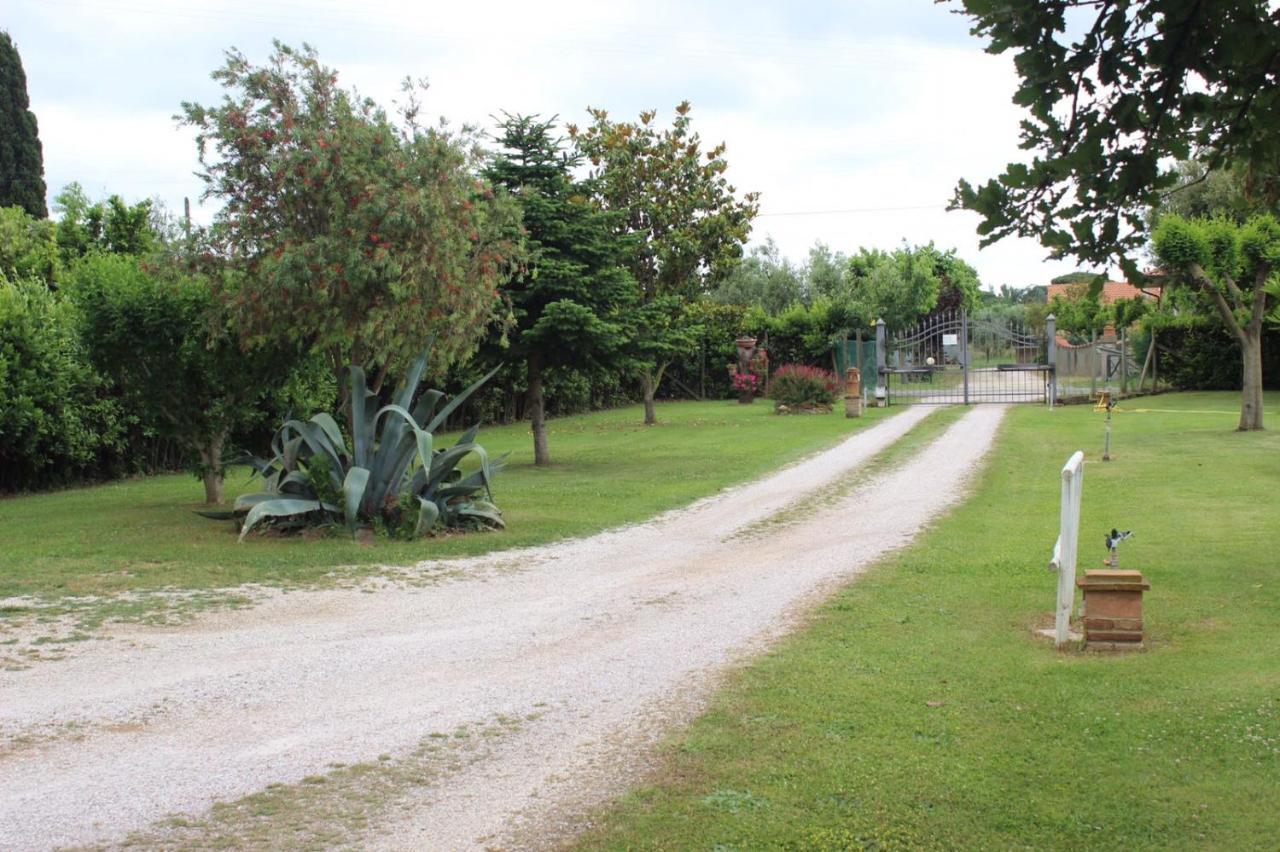 Podere Serena Castagneto Carducci Dış mekan fotoğraf