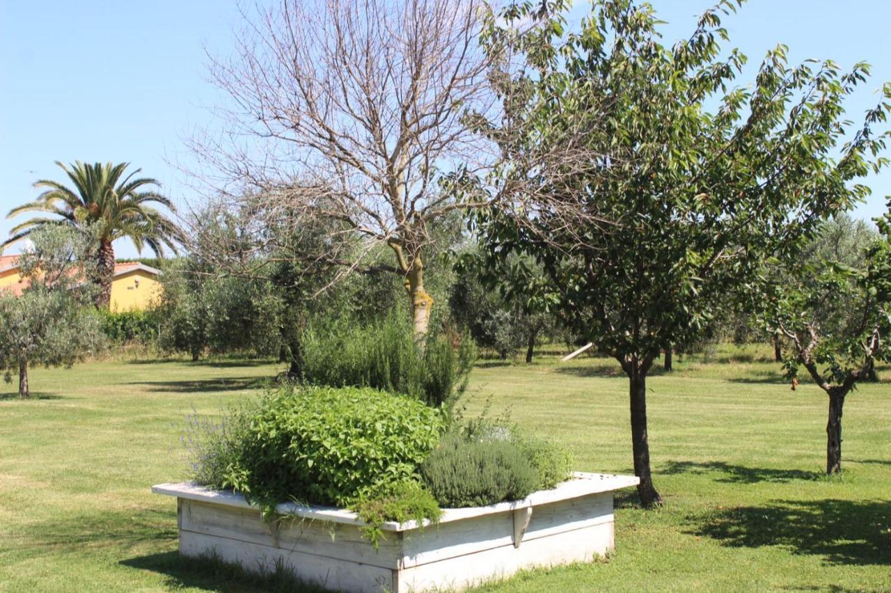 Podere Serena Castagneto Carducci Dış mekan fotoğraf