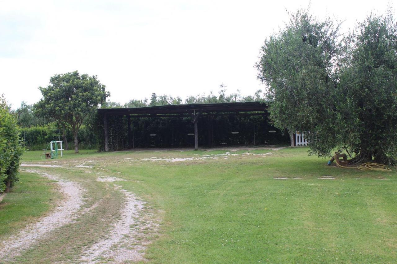 Podere Serena Castagneto Carducci Dış mekan fotoğraf