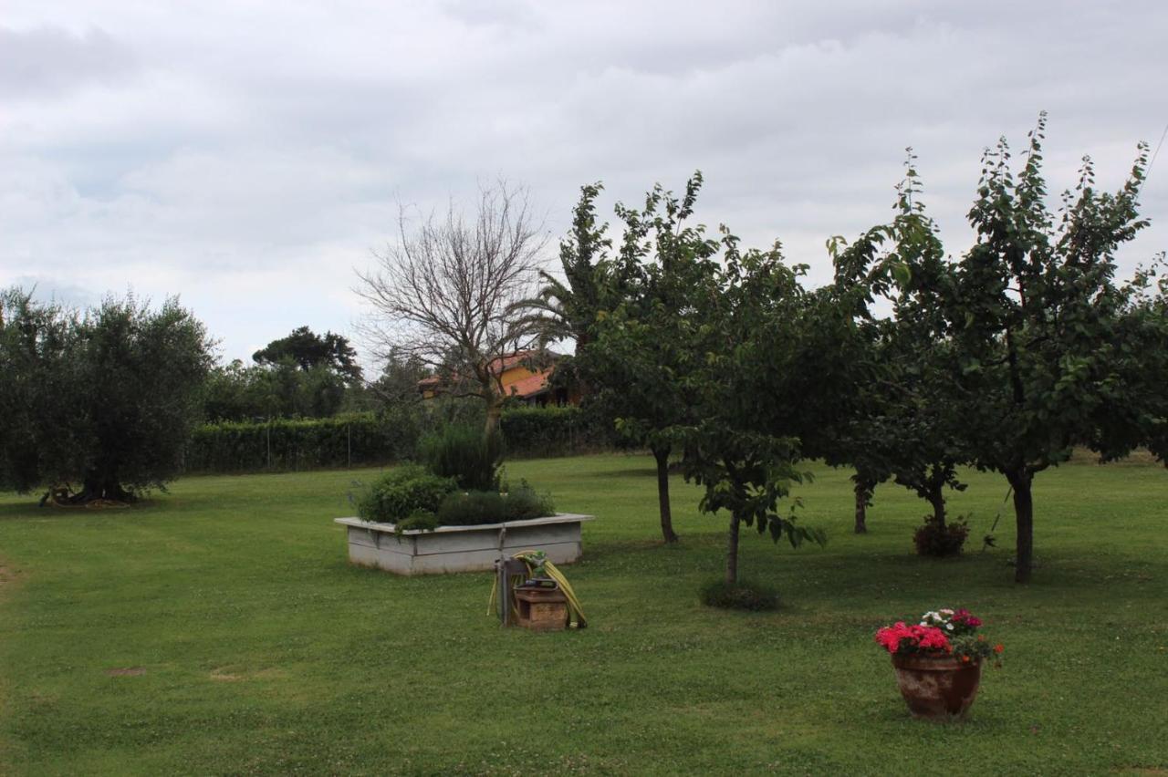 Podere Serena Castagneto Carducci Dış mekan fotoğraf