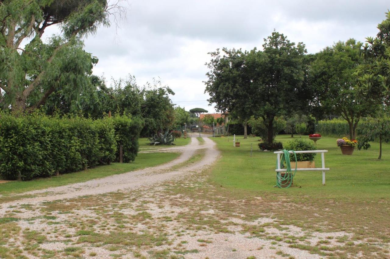 Podere Serena Castagneto Carducci Dış mekan fotoğraf